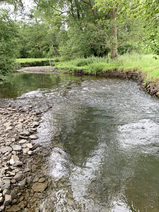 Large areas of the upper Lugg catchment, such as the Hindwell Brook, that provide excellent spawning and juvenile habitat for Atlantic salmon are now fully accessible.