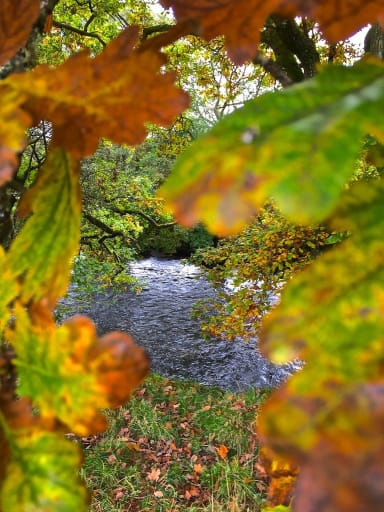 The Wye and Usk valleys will be in their full autumn splendour in the next few weeks