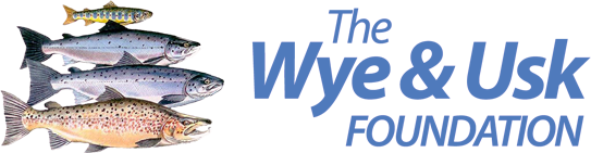 The Wye & Usk Foundation