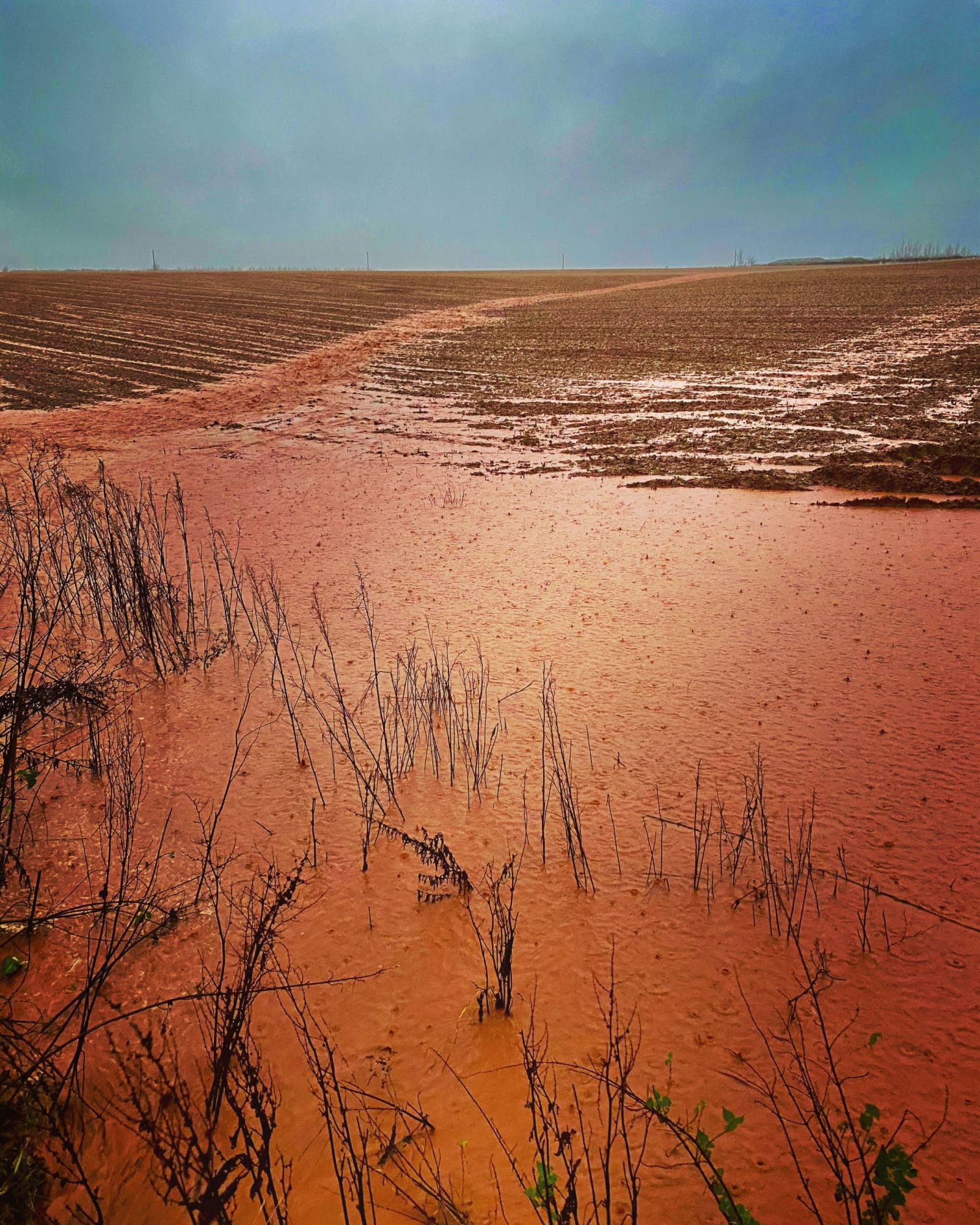 Excessive soil loss from a Herefordshire field this winter heading for the nearby brook. NVZs have been in force in this county for over ten years, yet still plenty of incidents like this are witnessed.