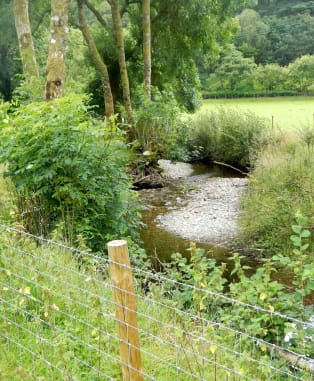 The Foundation is running a project that puts a value on any nutrients lost from farmland into rivers