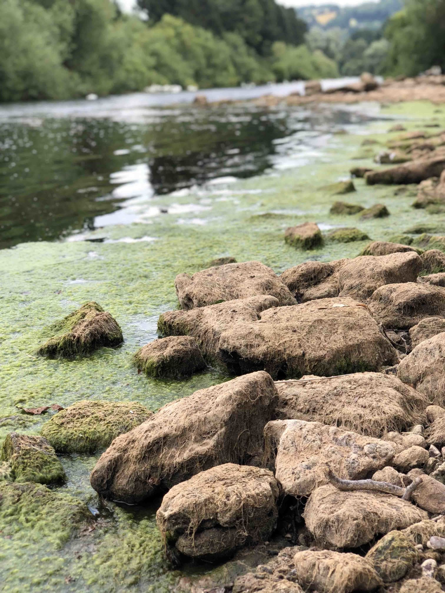 Water levels and flows on both rivers are extremely low following the hot, dry summer